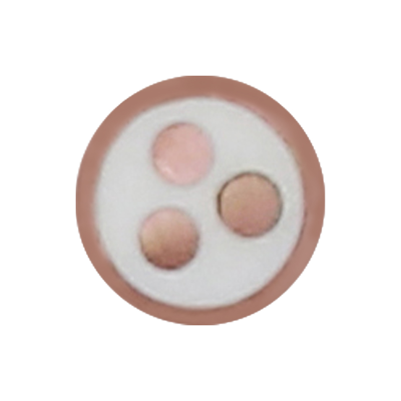 Kabel do ładowania pojazdów elektrycznych o napięciu znamionowym 450/750 V