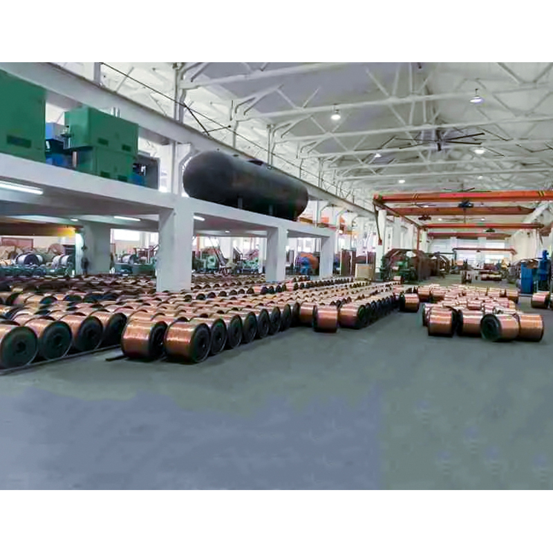 Kabel w izolacji XLPE/PVC (drut) Napięcie znamionowe do 450/750 V włącznie